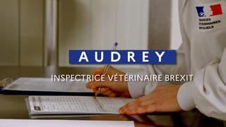 Début de la vidéo avec le titre, et représentant les mains de la vétérinaire avec un stylo, une blouse blanche inscrit dessus Service vétérinaires officiels
