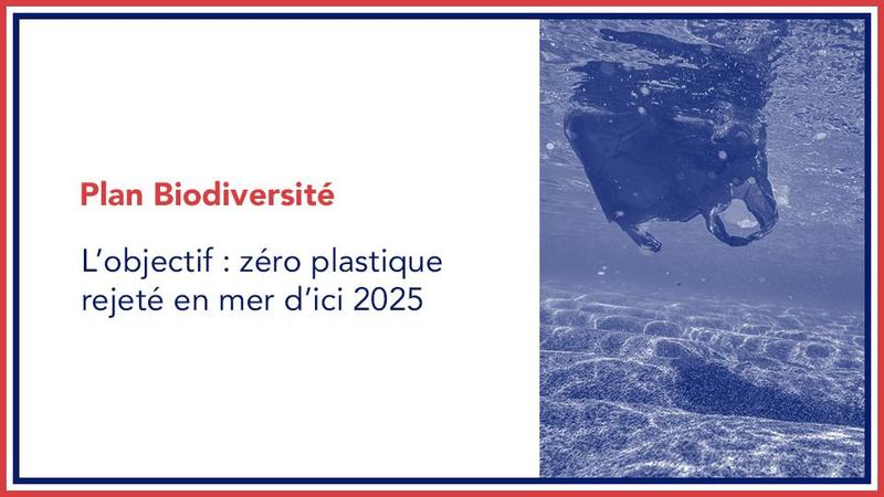 Biodiversité Zero Plastique 2025